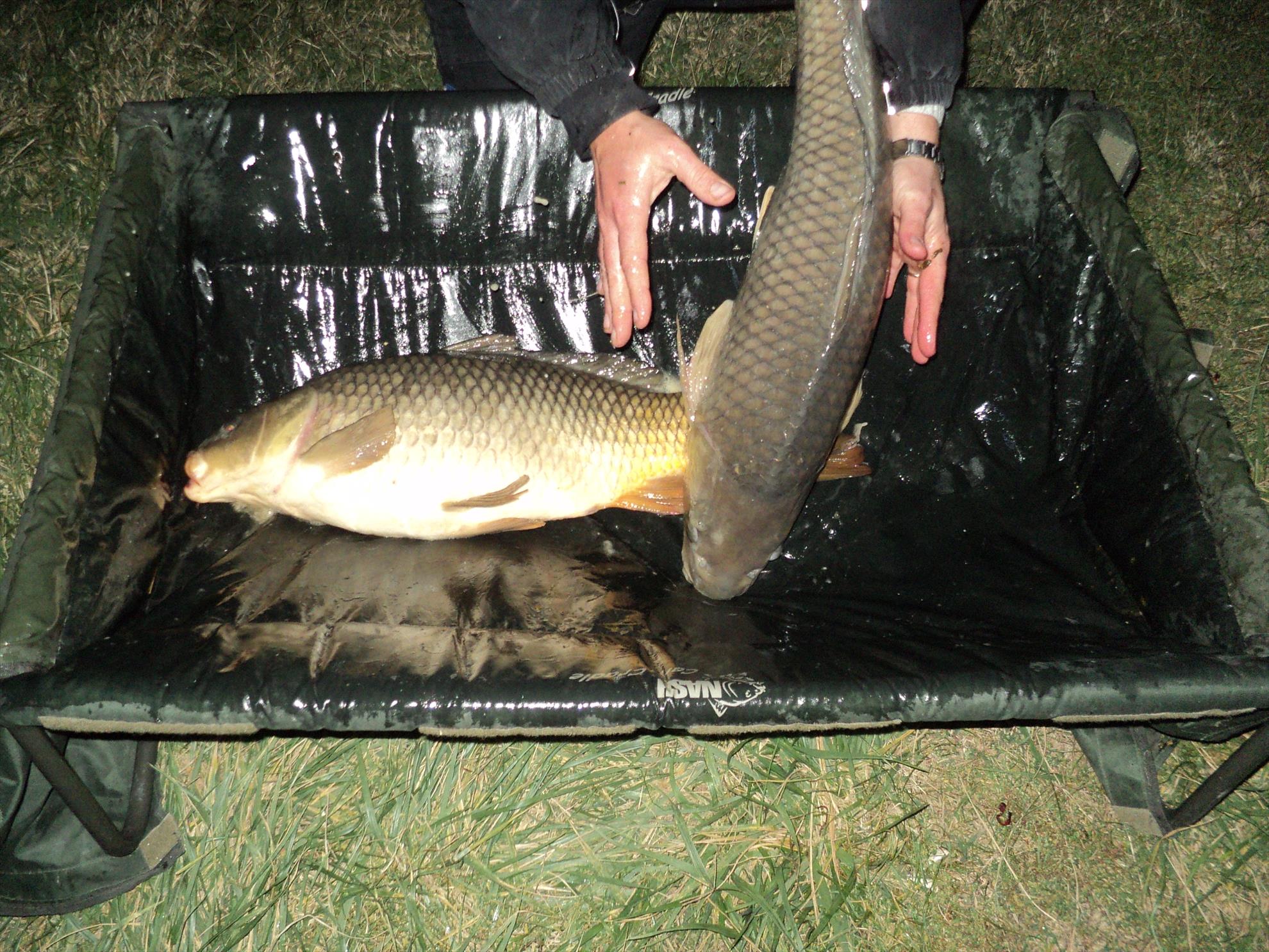 pescuit MOARA VLASIEI - dsc02696.JPG